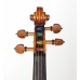 Warchal Amber 703S - struna D-Ag na housle